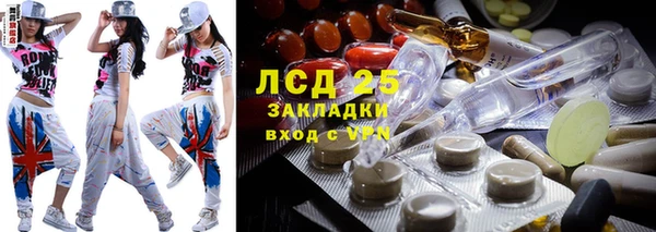 эйфоретик Баксан